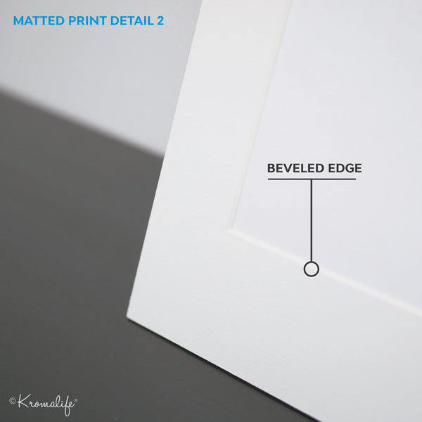 Briard Matted Art Print  | USA Made Giclée Print | Berger de Brie Wall Art | Briard Gift