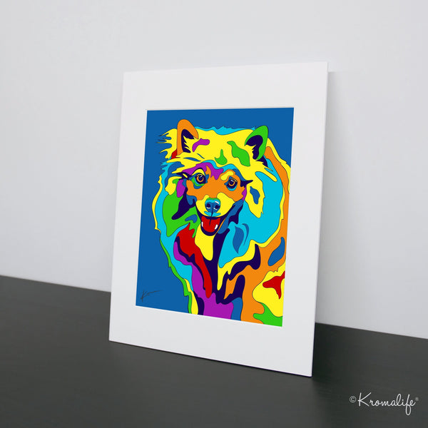 American Eskimo Matted Art Print  | USA Made Giclée Print | American Spitz Dog Wall Art | American Eskimo Gifts