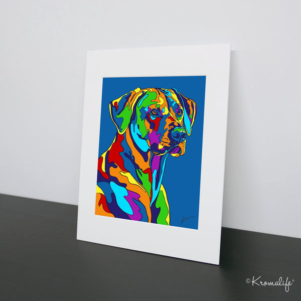 Rhodesian Ridgeback Matted Art Print  | USA Made Giclée Print | Rhodesian Ridgeback Dog Wall Art | Rhodesian Ridgeback Gifts
