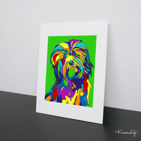 Havanese Dog Matted Art Print  | USA Made Giclée Print | Havanese Dog Wall Art | Unique Gift for Dog Lovers