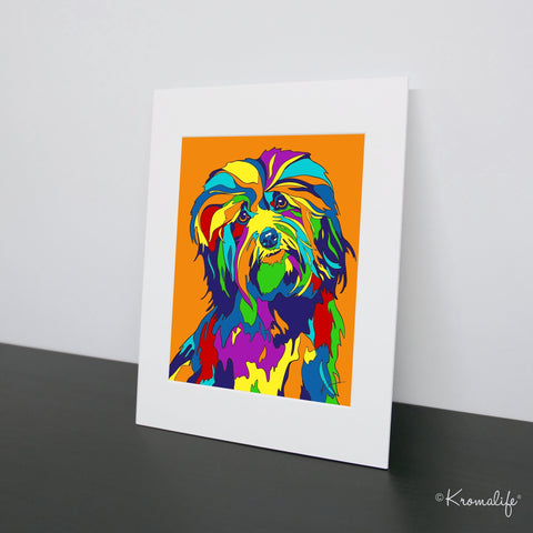 Havanese Dog Matted Art Print  | USA Made Giclée Print | Havanese Dog Wall Art | Unique Gift for Dog Lovers