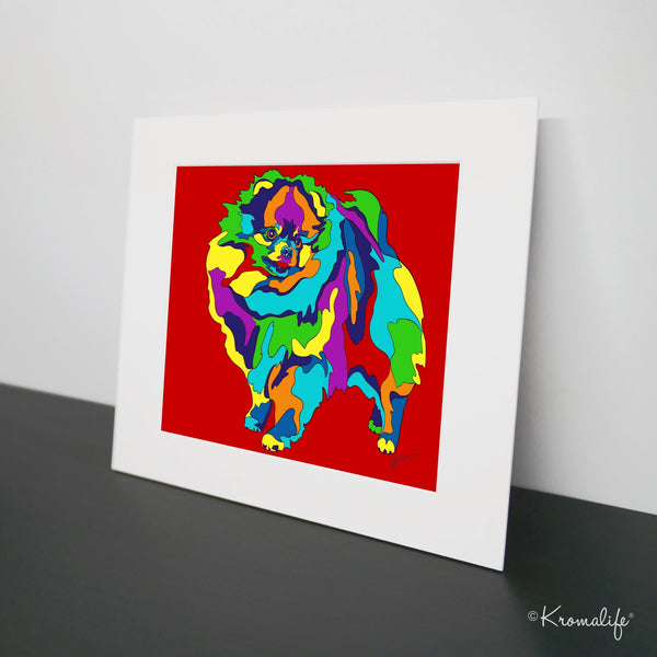 Pomeranian Dog Matted Art Print  | USA Made Giclée Print | Pom Wall Art | Unique Gift for Dog Lovers