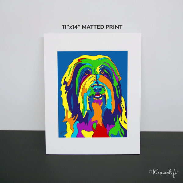 Bearded Collie Art Print  | USA Made Giclée Print | Collie Wall Art | Bearded Collie Gifts