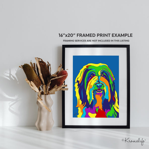 Bearded Collie Art Print  | USA Made Giclée Print | Collie Wall Art | Bearded Collie Gifts