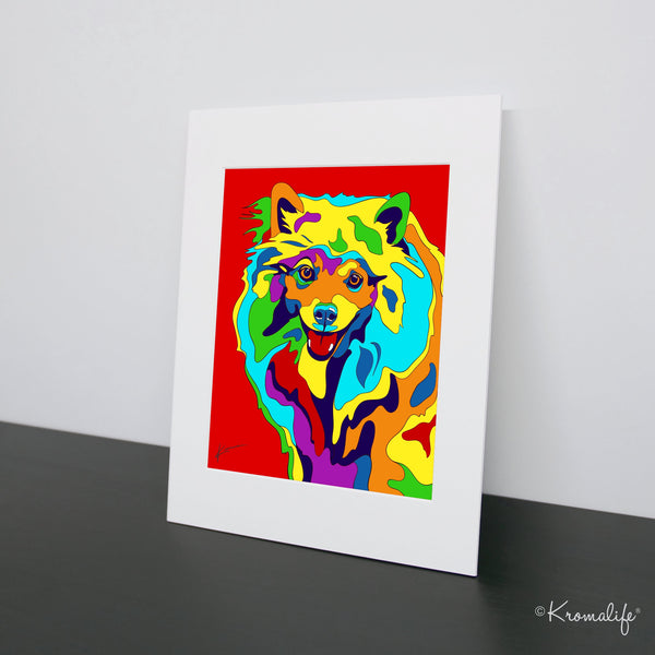 American Eskimo Matted Art Print  | USA Made Giclée Print | American Spitz Dog Wall Art | American Eskimo Gifts